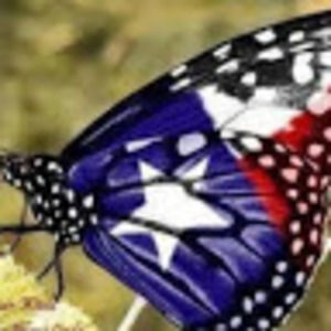 Meet your Posher, Ahlaam